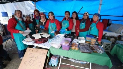 Yağmur dinlemediler: Bodrum Acı Ot Festivali&rsquo;ne ziyaret&ccedil;i akını
