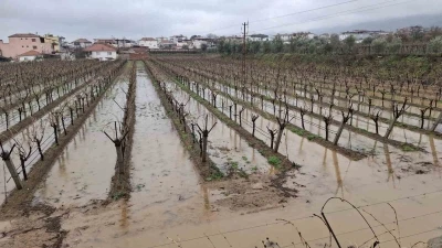 Yağmurlar bağcıların y&uuml;z&uuml;n&uuml; g&uuml;ld&uuml;rd&uuml;

