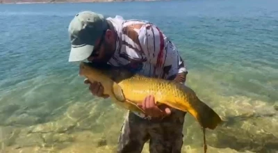 Yakaladığı 15 kiloluk sazanı tekrar suya bıraktı
