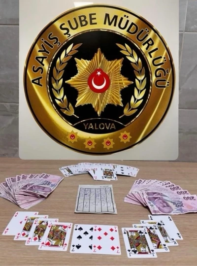 Yalova&rsquo;da kumar operasyonu
