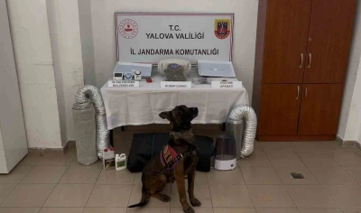 Yalova merkezli 3 ilde g&ouml;&ccedil;men ka&ccedil;ak&ccedil;ılığı operasyonu: 3 tutuklama
