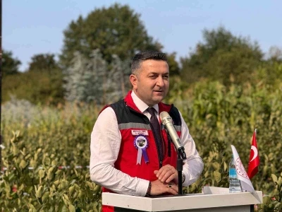 Yalova’nın coğrafi işaretli meyvesi aronyada hasat sevinci
