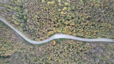 Yalova ormanlarında sonbahar güzelliği
