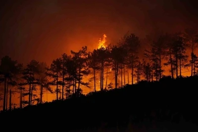 Yanan 3 bin hektar orman için 100 yıl gerekiyor
