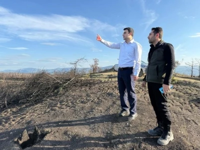 Yangın alanları yeşile bürünüyor
