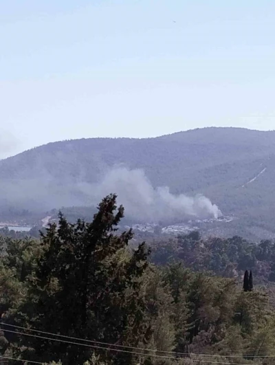 Yangın ormana sıçramadan söndürüldü
