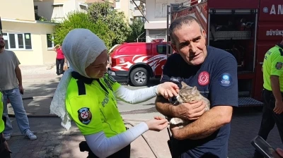Yangında telef olduğu sanılan kedi dolabın arkasında saklanırken bulundu
