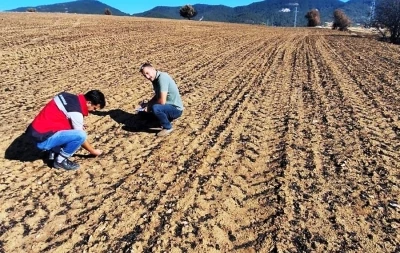 Yangından etkilenen hububat ekili alanlarda hasar tespit çalışması
