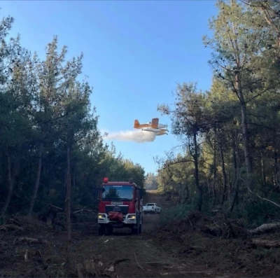 Yangınların yüzde 57’si orman dışı alanlarda başladı
