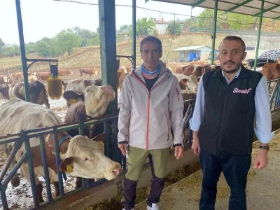 Yapay zeka süt hayvancılığında çığır açtı
