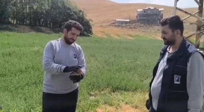 Yaralı baykuş ekipler tarafından kurtarıldı
