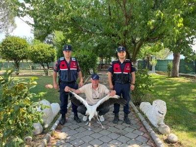 Yaralı leylek i&ccedil;in seferber oldular
