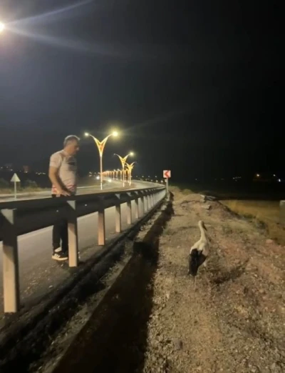 Yaralı leyleklere Başkan Çenet’ten şefkat eli
