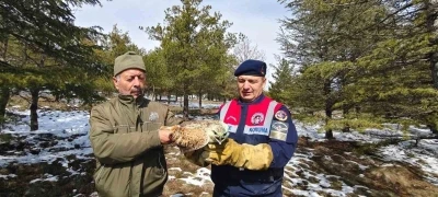 Yaralı Şahin&rsquo;e Jandarma ekiplerinden yardım eli
