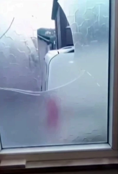 Yaşlı çift komşularının kabusu oldu
