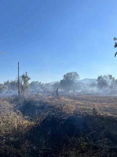 Yatağan’da tarlada çıkan yangın ekipler tarafından söndürüldü
