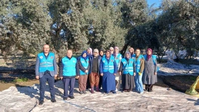 Yatağan&rsquo;da zeytin hasadı ve bereket duası yapıldı

