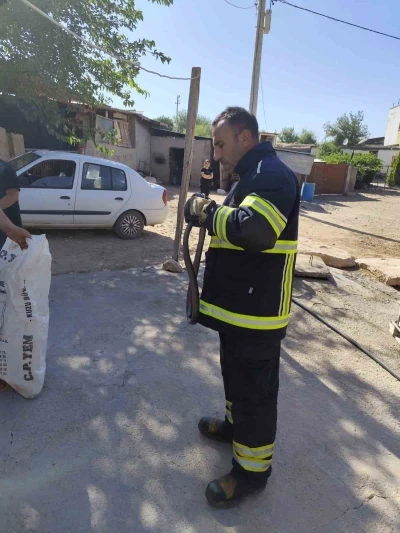 Yatak odasında &ccedil;ığlık attıran g&ouml;r&uuml;nt&uuml;
