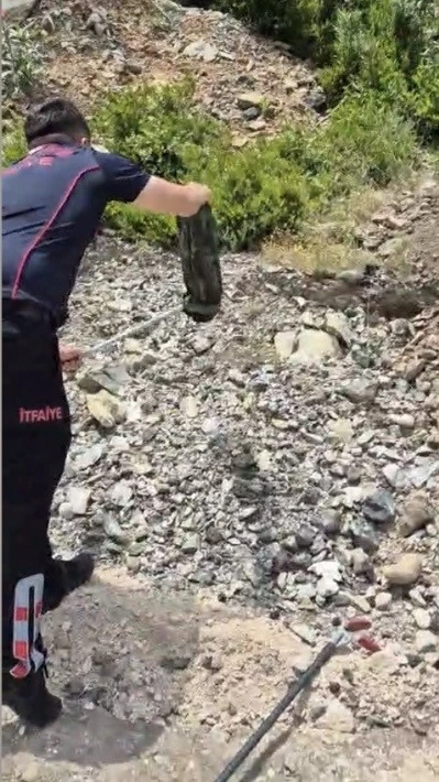 Yatak ve halıların arasına saklanan yılanı itfaiye buldu

