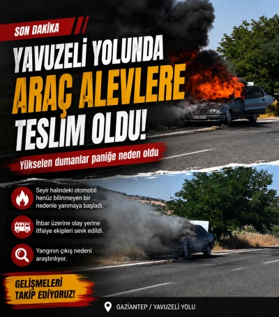 Yavuzeli yolunda ara&ccedil; alevlere teslim oldu