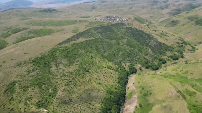 Yayla sakinleri imece usulü çalışarak bozkırı ormana dönüştürdü
