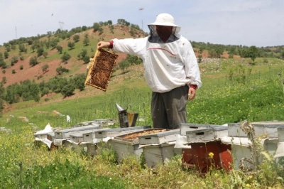 Yayla Yayla Gezip Bal &Uuml;retiyorlar