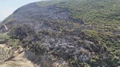 Yayladağı’nda çıkan orman yangını kontrol altına alındı
