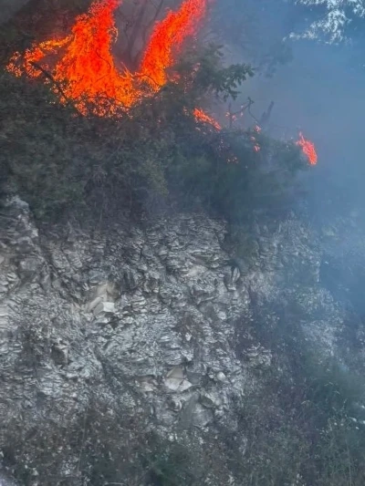 Yayladağı&rsquo;nda ormanlık alanda &ccedil;ıkan yangın kontrol altına alındı
