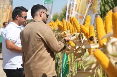 Yeni hibrit mısır çeşitleri Konya’da çiftçilere tanıtıldı
