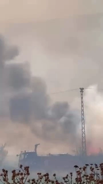 Yenişehir kırsalında yangın paniği
