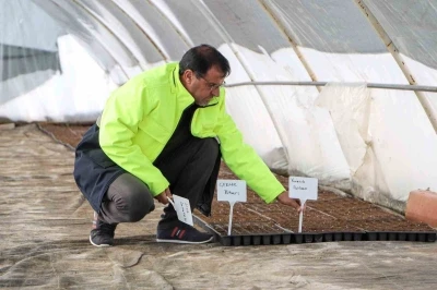 Yerel tohum toprakla buluştu, 300 bin fide &ccedil;ift&ccedil;ilere &uuml;cretsiz dağıtılacak
