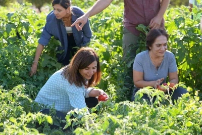 Yerel tohumlu bostanda hasat başladı
