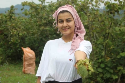 Yeşil altın fındıkta hasat başladı
