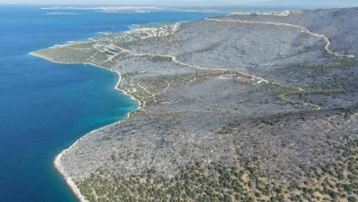 Yeşille maviyi orman yangını ayırdı

