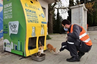 Yıldırım Belediyesi&rsquo;nden sokak hayvanlarına sıcak yuva
