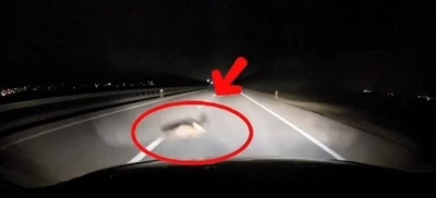 Yola atlayan tilkiye ara&ccedil; &ccedil;arptı
