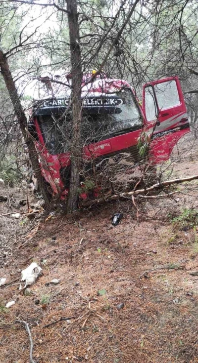 Yoldan &ccedil;ıkan vin&ccedil; ormanlık alana daldı
