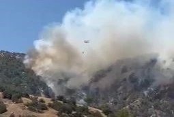 Yön değiştiren yangın Buldan’ı tehdit ediyor

