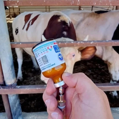 Yozgat’ta kapatılan hayvan pazarları yeniden açıldı
