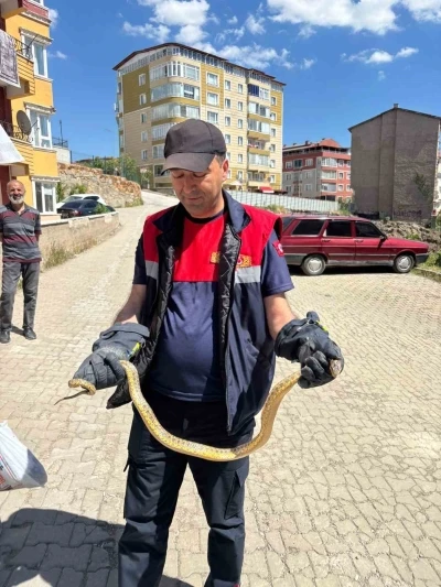 Yozgat&rsquo;ta otomobile giren yılanı itfaiye ekipleri &ccedil;ıkardı
