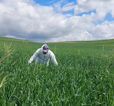 Yozgat&rsquo;ta s&uuml;ne m&uuml;cadelesi başladı
