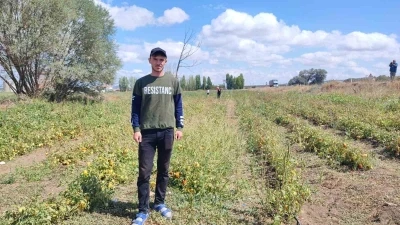 Yozgat’ta üniversite öğrencisi, ürettiği domatesleri tarlasında tüketicilerle buluşturuyor
