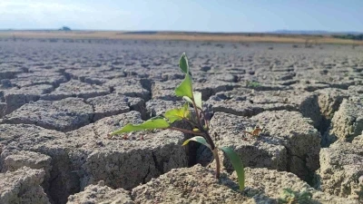 Yozgat’taki Gelingüllü Barajı’nda su çekildi, kuraklığın izleri ortaya çıktı
