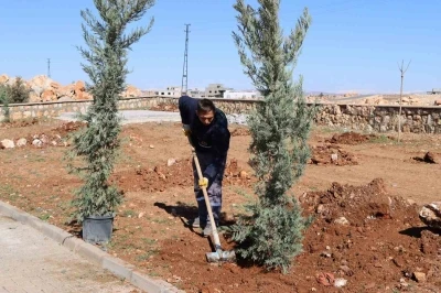 Yukarıg&ouml;kl&uuml; Kent Parkı yeşile b&uuml;r&uuml;n&uuml;yor
