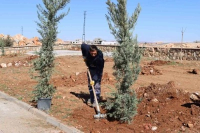Yukarıg&ouml;kl&uuml; Kent Parkı yeşile b&uuml;r&uuml;n&uuml;yor