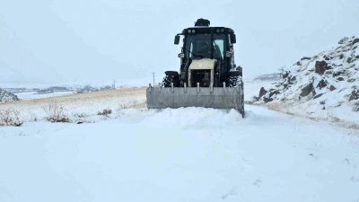 Y&uuml;ksek rakımlı Aydınlar beldesinde kar esareti başladı
