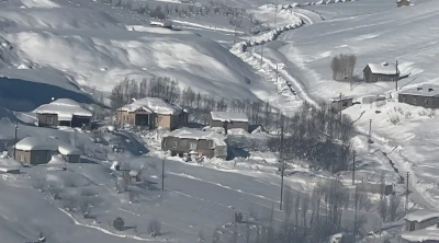 Y&uuml;ksekova&rsquo;da &ccedil;ift&ccedil;ilere "kurt saldırısı" uyarısı
