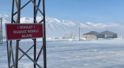 Y&uuml;ksekova&rsquo;da kuduz vakası
