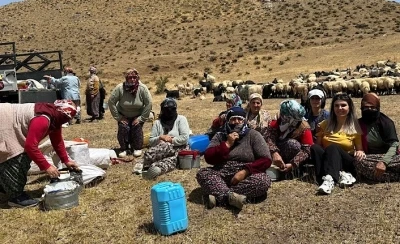 Yüksekova’da süt hijyeni eğitimi sürüyor
