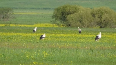 Y&uuml;ksekova&rsquo;nın biyo&ccedil;eşitliliği kayıt altına alınacak
